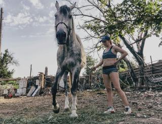 “Раненый, весь серый от пепла, жил прямо рядом с Азовсталью” Волонтеры спасли коня из Мариуполя